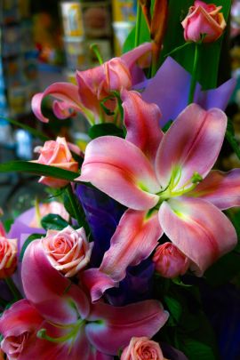 Flowers Melbourne on Florist Heidelberg    Melbourne Boutique Flowers   Florist Delivering